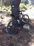 IMG-20140809-WA0001.jpg