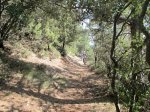 IMG_5576 (Copiar).JPG