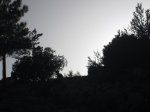 IMG_7351.JPG