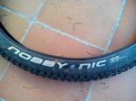 nobby2.jpg