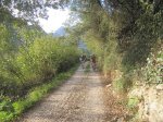 IMG_6848.JPG