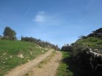 IMG_6863.JPG