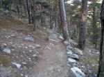 IMG_20141025_105511.jpg