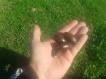 20141026_105849.jpg