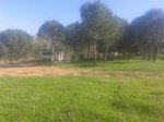 20141026_105907.jpg