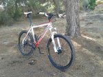 altAj_EMxLxjK7XUASLHXTh-xM5vSFkUz4-vLFMWI1MQP_7.jpg