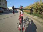 IMG_2529.JPG