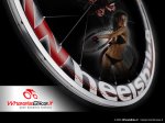 wheelsbike5.jpg