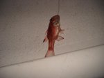 DSC01257.JPG