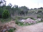 un saltito de garrofera dirt.JPG