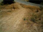 IMAG0031.JPG