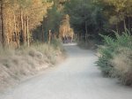 DSC01114.JPG