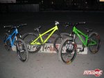 pbpic994658.jpg