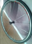 IMG-20141020-WA0002.jpg