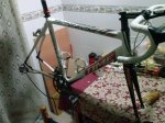 CAM01287.jpg