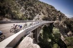 ToC14Dixona-bridge.jpg