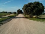 IMG_20141101_100628.jpg