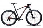 Berria Bravo Infinity 29.jpg