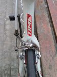 CAM01317.jpg