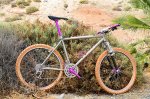 DSC_1834FORO-2.jpg