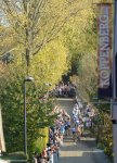 koppenbergcross14-big.jpg