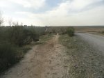 DSC03444.JPG