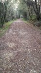 20141101_181539.jpg