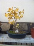 IMG-20141104-WA003.jpg