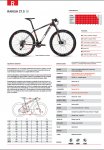 rakish27.510..jpg