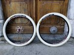 IMG-20141107-WA0020.jpg