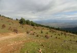 DSC03497.JPG