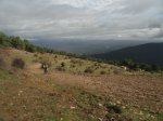 DSC03536.JPG
