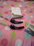 CAM00570.jpg