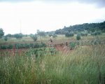 supermareante 2007 015.jpg