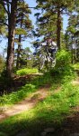 DSC_0025-web.jpg