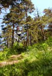 DSC_0034-web.jpg
