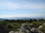 DSC01734_resize.JPG