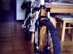 PICT0305.JPG