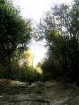 collserola2.jpg