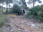Imagen067as.jpg