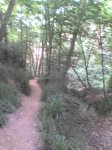 22-07-07_2042.jpg