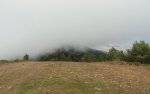 DSC03584.JPG