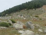 DSC03592.JPG