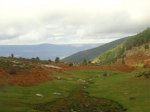 DSC03593.JPG