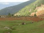 DSC03594.JPG