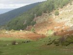 DSC03595.JPG