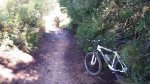 20141109_102153.jpg