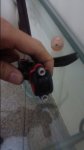 CAM00582.jpg