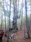 IMG_20141108_145813.jpg