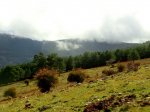 DSC03496 - copia.JPG